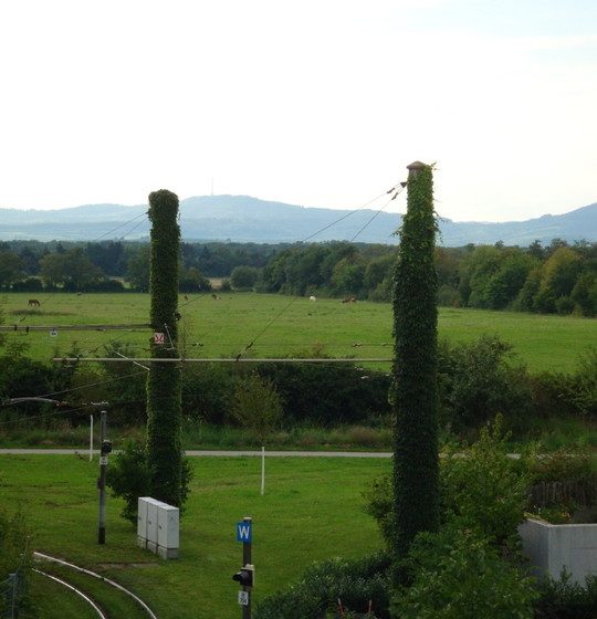 Aussicht vom Balkon