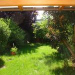 Der Garten