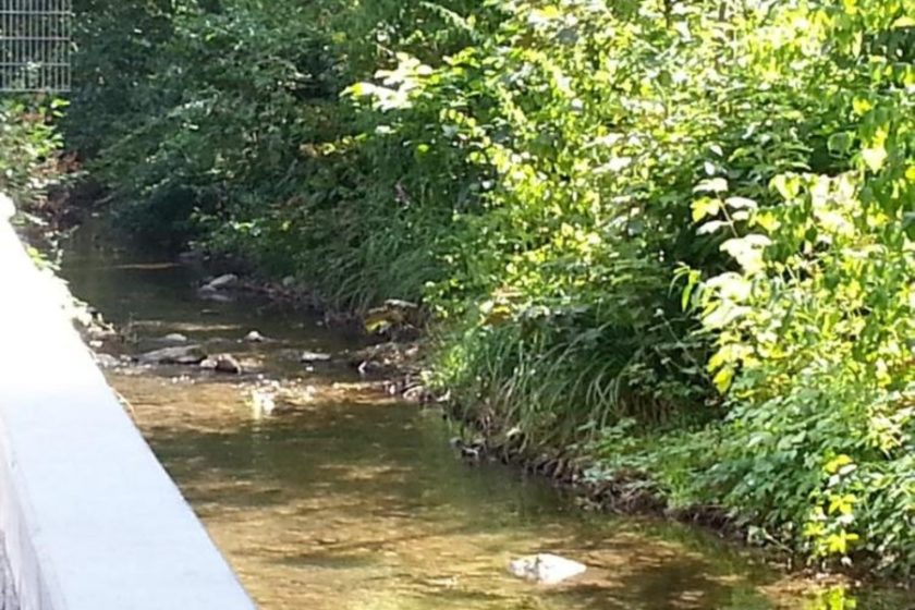 Hölderlinbach