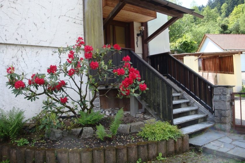 Haus-Eingang
