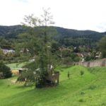 Ausblick nach Süden