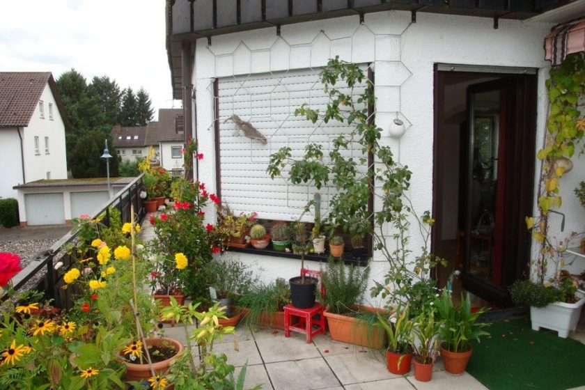 Terrasse 1.OG