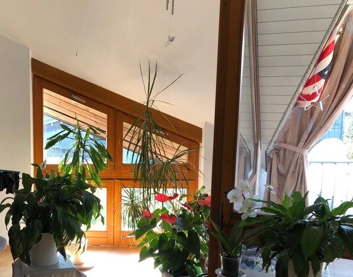 Teilbereich Wohnzimmer
