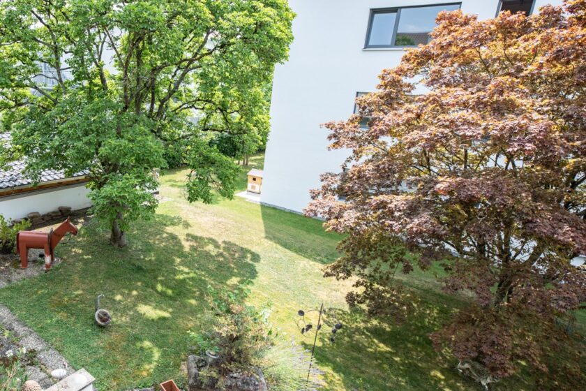 Garten hinten