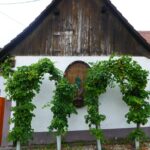 direkte Umgebung