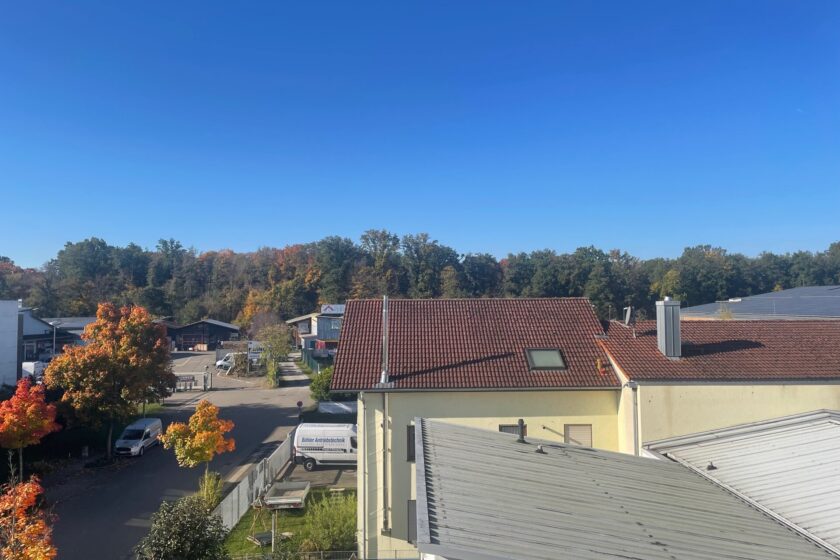 Ausblick