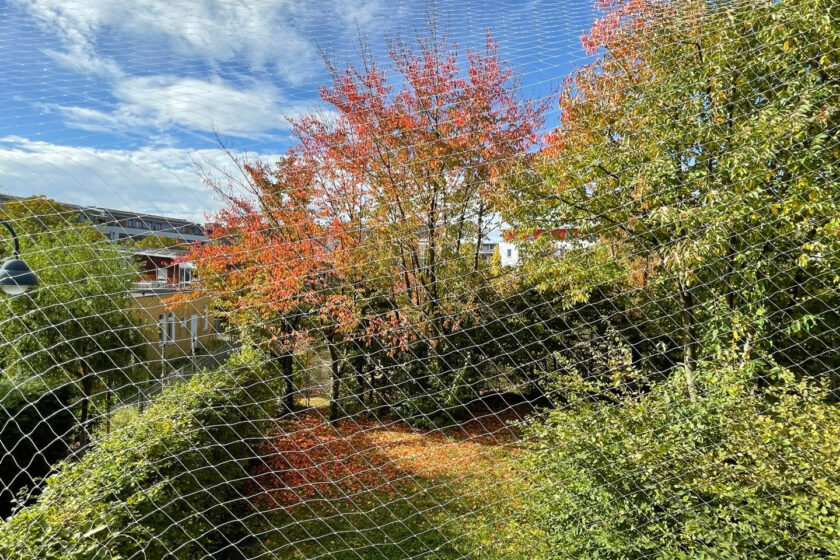 Blick vom Balkon