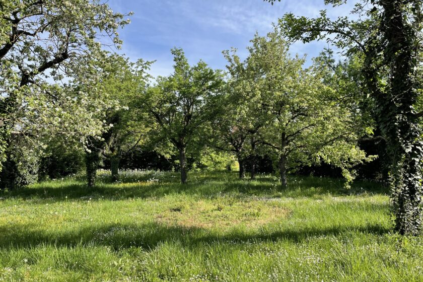 Garten
